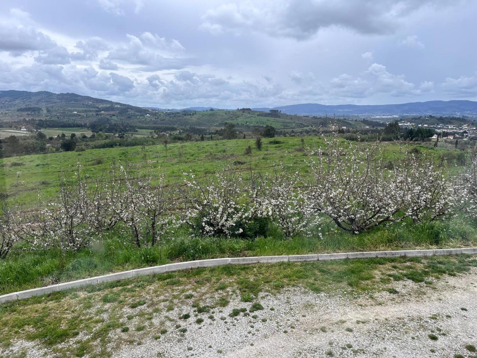 Tranca Da Barriga - Casa Do Vinho By Quinta De Sao Tiago Villa Covilhã Eksteriør bilde