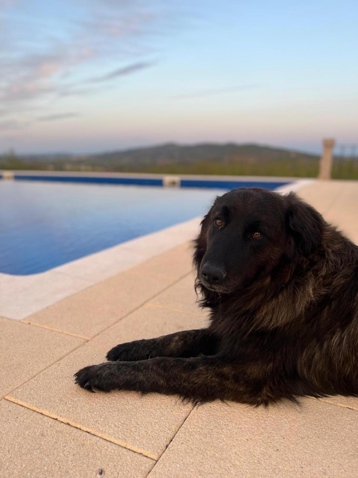 Tranca Da Barriga - Casa Do Vinho By Quinta De Sao Tiago Villa Covilhã Eksteriør bilde